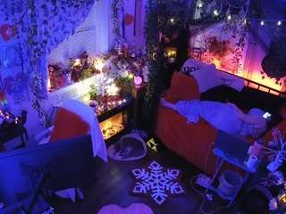 voyeurcam veccasalt 01